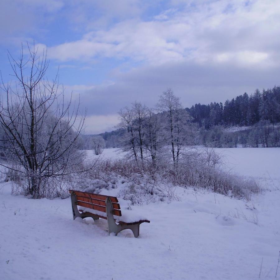 Feriendomizil-Sauerland Fewo 1 梅德巴赫 外观 照片